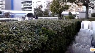 音频剪辑软件超美少妇酒店和情人啪啪被老公偷录曝光
